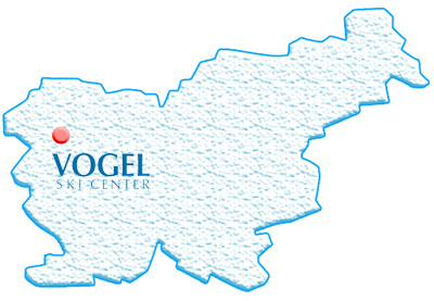 Vogel