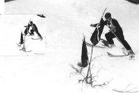 Slalom tekma v Sloveniji takoj po letu 1930. Kolci vratc so bili kar šibe bližnjega grmovja.
