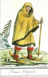 Stoletja smučarskih capic
