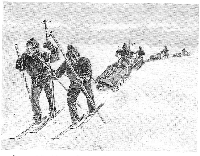 Nansen s spremljevalci na smučeh preko Grenlandije leta 1888 (grafika Andreas Bloch).