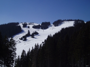 Carving državno prvenstvo Golte