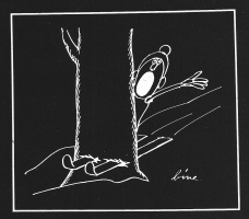 Albin Rogelj – bine: les v les