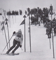 Zimske olimpijske igre leta 1968 v Grenoblu s tekmami v alpskih disciplinah v bližnjem Chamroussu so na tekmi slaloma postregle z oslarijo. Ne samo, da so bili kolci barvni in z barvnimi zastavicami, so prireditelji na vrhu nataknili še različne geometrijska telesa. Ko je tekmovalec zadel v kolec ali ga celo podrl, so kontrolorji pri vratcih porabili veliko časa, da so postavili na novo kolec in nanj zopet postavili »geometrijo«. Ta način je bil takrat prvič in zadnjič. Na sliki Francozinja Isabellle Mir.