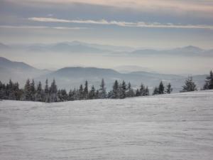 Smučarska sezona 2010/2011