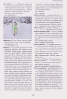 Tek na smučeh, biatlon, sprehajalno smučanje, pohodništvo na smučeh