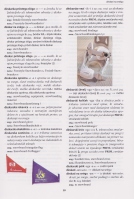 Smučarske vezi in druga oprema smučarjev