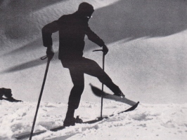 Obrat na mestu (Schneider, 1926).