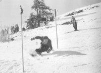 Reprezentant Tine Mulej med ekstremnim položajem med vratci na treningu pred državnim prvenstvom leta 1949 na Kopaoniku v Srbiji. Leta 1950 je bil glavni favorit za zmago v smuku na svetovnem prvenstvu v Aspnu v ZDA. Zaradi prevelike hitrosti ga je zaneslo s proge in konec je bili sanj o zmagi. Vrnil se je peš na progo in zasedel 23. mesto. Poleg njega je tekmoval le še Matevž Lukanc in zasedel 42. mesto. Zmagal je izjemni italijanski smukač Zeno Colo iz Abetona.