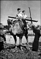 Ameriški snemalec čudovitih smučarskih filmov John Jay je s »kamelentrajberji« v Egiptu smučal okoli Keopsove piramide.