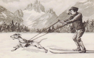 Velika borka za zaščito živali Eva Lea Műller ne sme videti te francoske razglednice iz leta 1913, ko so mučili pse za užitek kadilskih »frajerjev«.