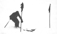 Tekme partizanov v veleslalomu januarja 1945 v Cerknem